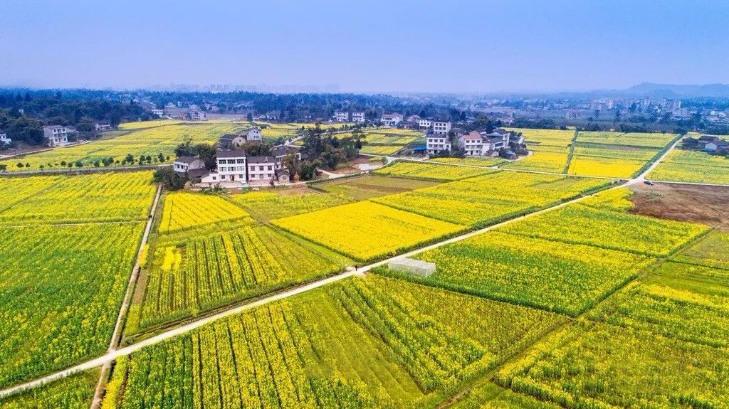 營山縣駱市鎮(zhèn)（天橋村、楊柳村）小橋鎮(zhèn)（五里村、梯巖村）土地整理項目2.jpg